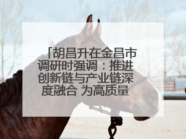 胡昌升在金昌市调研时强调：推进创新链与产业链深度融合 为高质量发展塑造新动能新优势