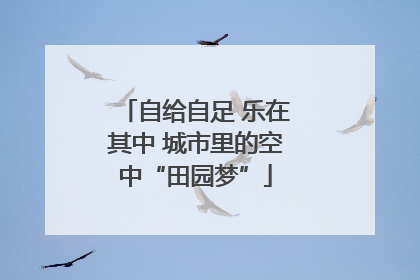 自给自足 乐在其中 城市里的空中“田园梦”
