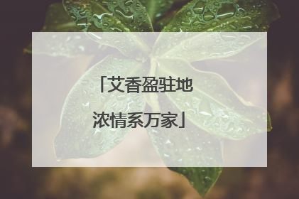 艾香盈驻地 浓情系万家