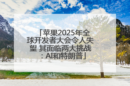 苹果2025年全球开发者大会令人失望 其面临两大挑战：AI和特朗普