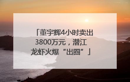 董宇辉4小时卖出3800万元，潜江龙虾火爆“出圈”