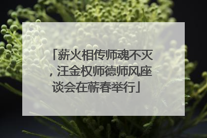 薪火相传师魂不灭，汪金权师德师风座谈会在蕲春举行