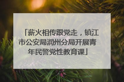 薪火相传跟党走，镇江市公安局润州分局开展青年民警党性教育课