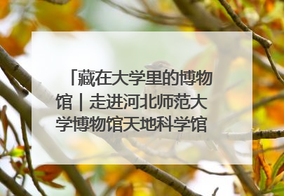 藏在大学里的博物馆｜走进河北师范大学博物馆天地科学馆：在校园里赴一场“宇宙之约”