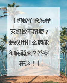 蚂蚁怕啥怎样灭蚂蚁不留痕？蚂蚁用什么药能彻底消灭？答案在这！