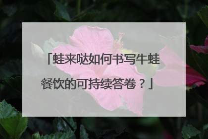 蛙来哒如何书写牛蛙餐饮的可持续答卷？