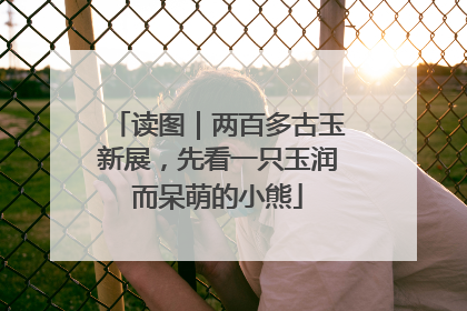 读图｜两百多古玉新展，先看一只玉润而呆萌的小熊