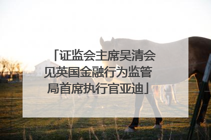 证监会主席吴清会见英国金融行为监管局首席执行官亚迪