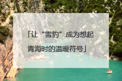 让“雪豹”成为想起青海时的温暖符号