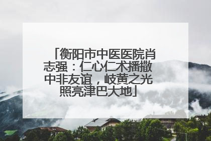 衡阳市中医医院肖志强：仁心仁术播撒中非友谊，岐黄之光照亮津巴大地