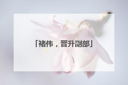 褚伟，晋升副部