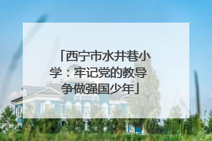 西宁市水井巷小学：牢记党的教导 争做强国少年