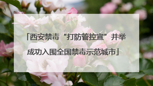 西安禁毒“打防管控宣”并举 成功入围全国禁毒示范城市