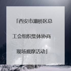 西安市灞桥区总工会组织集体协商现场观摩活动