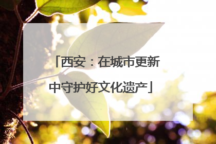 西安：在城市更新中守护好文化遗产