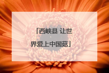 西峡县 让世界爱上中国菇