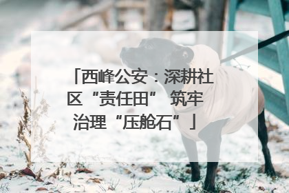 西峰公安：深耕社区“责任田” 筑牢治理“压舱石”