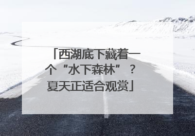 西湖底下藏着一个“水下森林”？夏天正适合观赏