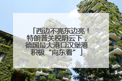 西边不亮东边亮！特朗普关税阴云下，德国最大港口汉堡港积极“向东看”
