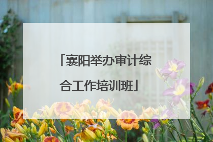 襄阳举办审计综合工作培训班