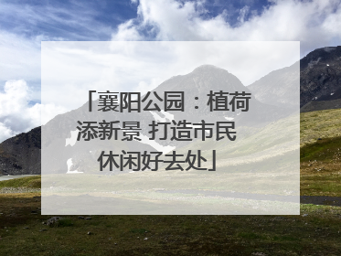 襄阳公园：植荷添新景 打造市民休闲好去处
