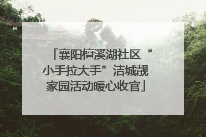 襄阳檀溪湖社区“小手拉大手”洁城靓家园活动暖心收官