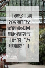 观察丨湖南省湘非经贸商会如何串起湖南与非洲的“万里商路”