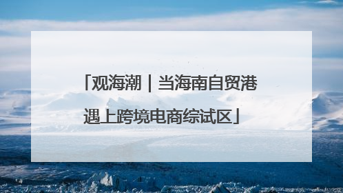 观海潮｜当海南自贸港遇上跨境电商综试区