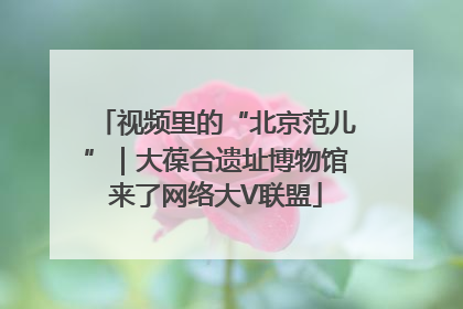 视频里的“北京范儿”｜大葆台遗址博物馆来了网络大V联盟