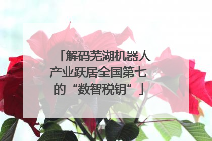 解码芜湖机器人产业跃居全国第七的“数智税钥”