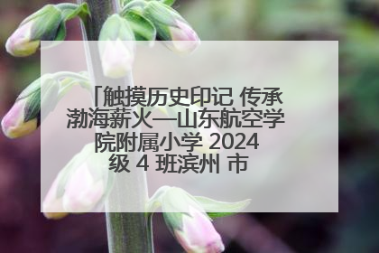 触摸历史印记 传承渤海薪火—山东航空学院附属小学 2024 级 4 班滨州 市档案馆研学实践活动