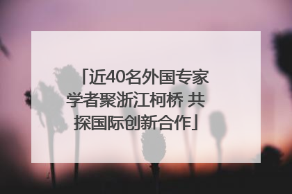 近40名外国专家学者聚浙江柯桥 共探国际创新合作