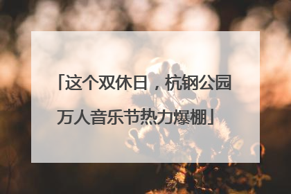 这个双休日，杭钢公园万人音乐节热力爆棚