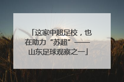 这家中超足校，也在助力“苏超”——山东足球观察之一