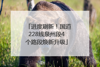 进度刷新！国道228线泉州段4个路段焕新升级