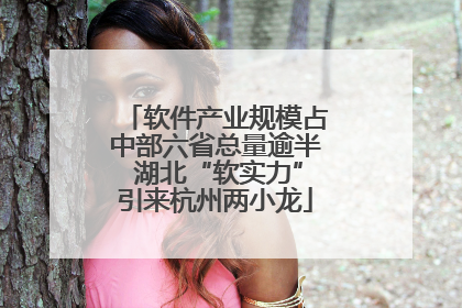 软件产业规模占中部六省总量逾半 湖北“软实力”引来杭州两小龙