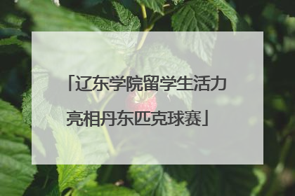 辽东学院留学生活力亮相丹东匹克球赛