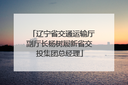 辽宁省交通运输厅副厅长杨树履新省交投集团总经理