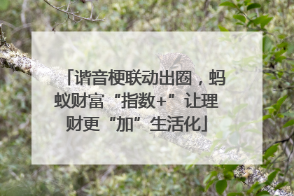 谐音梗联动出圈，蚂蚁财富“指数+”让理财更“加”生活化