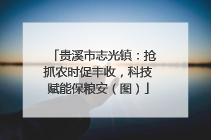 贵溪市志光镇：抢抓农时促丰收，科技赋能保粮安（图）