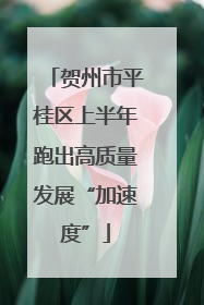 贺州市平桂区上半年跑出高质量发展“加速度”