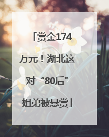 赏金174万元！湖北这对“80后”姐弟被悬赏