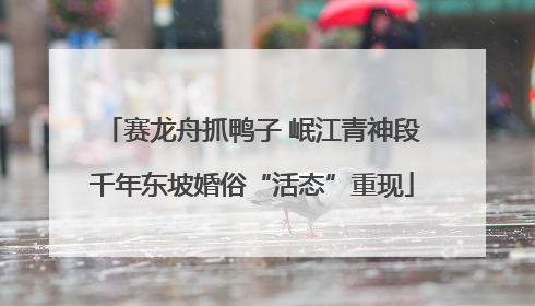 赛龙舟抓鸭子 岷江青神段千年东坡婚俗“活态”重现