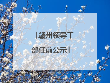 赣州领导干部任前公示