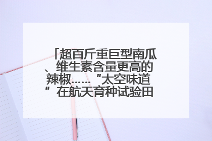 超百斤重巨型南瓜、维生素含量更高的辣椒……“太空味道”在航天育种试验田里拔节生长