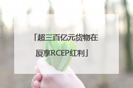 超三百亿元货物在厦享RCEP红利