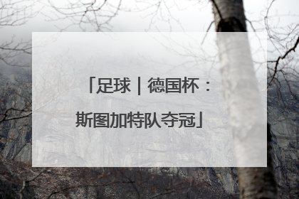 足球｜德国杯：斯图加特队夺冠