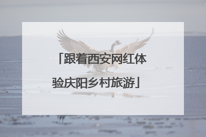 跟着西安网红体验庆阳乡村旅游