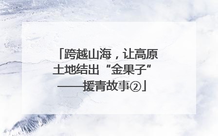 跨越山海，让高原土地结出“金果子”——援青故事②