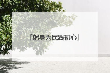 躬身为民践初心